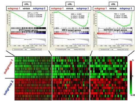 Gsea Of Myc Notch1 And Irf4 Target Gene Sets In The 2 Molecular Download Scientific Diagram