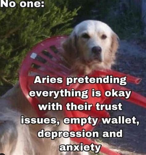 50 Best Aries Memes That Describe This Zodiac Sign Artofit