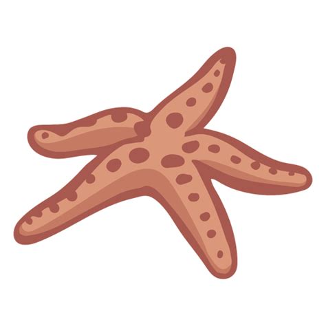 Hand Drawn Starfish Png And Svg Design For T Shirts