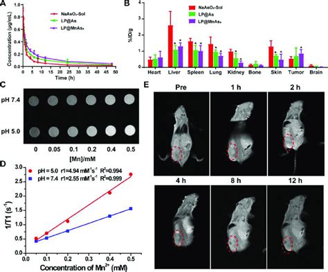 In Vivo Distribution And T1 Weighted MR Imaging Of Tumor Bearing Nude