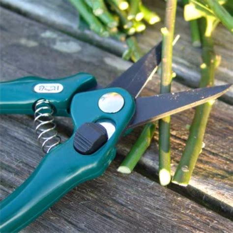 Burgon And Ball Florists Shears Royal Horticultural Society