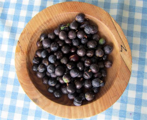 Damson Cheese And Sloe and Damson Gin.