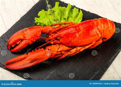 Lobster 库存照片 图片 包括有 海运 餐馆 背包 正餐 甲壳动物 红色 可口 消耗大 109092936