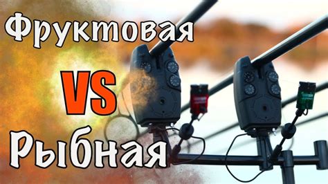 ЧЕМ КОРМИТЬ КАРПА ОСЕНЬЮ . Рыбалка 2022 Озера Адыгеи - YouTube