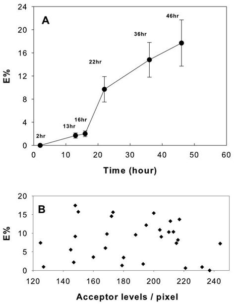 FRET measurements. (A) Averaged FRET efficiency of mDC as a function of ...