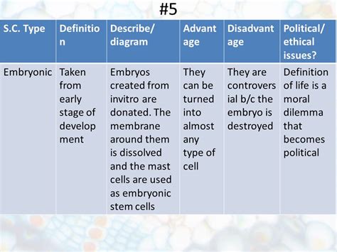 😂 Advantages And Disadvantages Of Using Embryonic Stem Cells Pros And