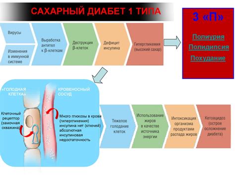 Нарушения углеводного обмена. Сахарный диабет - презентация онлайн