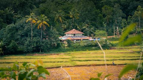 Monsoon Travel Getaway: Sirsi and Yellapur, Karnataka - The Backpacksters