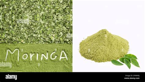 Moringa Oleifera Con Muchos Beneficios Vitaminas Minerales Y