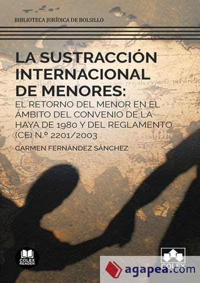 La Sustraccion Internacional De Menores El Retorno Del Menor En El