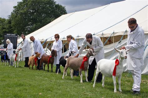 Shows British Goat Society