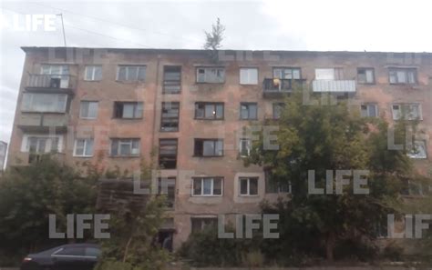 В Омске дерево проросло из ветхой пятиэтажки, где ремонт не делался с ...