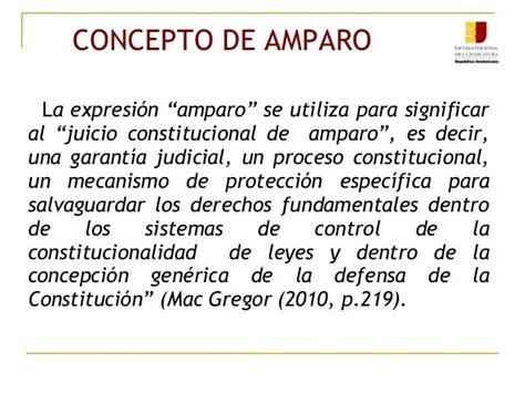 Enj 100 Concepto De Amparo