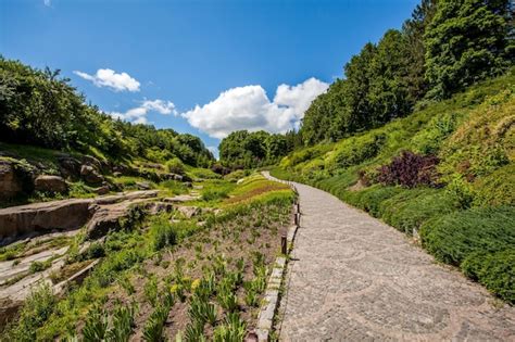 Premium Photo Beautiful View Of The Park Forest And Mountain Brook Wood