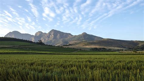 Babylonstoren Stories Babylonstoren