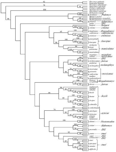 Strict Consensus Tree Of The 4 Most Parsimonious Trees Generated From Download Scientific