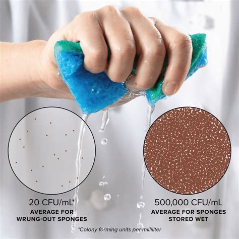 How To Clean A Kitchen Sponge Cooks Illustrated