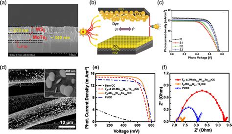 Phase Engineered D Tmd Based Photodetector And Photovoltaic Devices