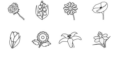 Tipos De Flores Para Dibujar Con Sus Nombres Dibujos De Colorear