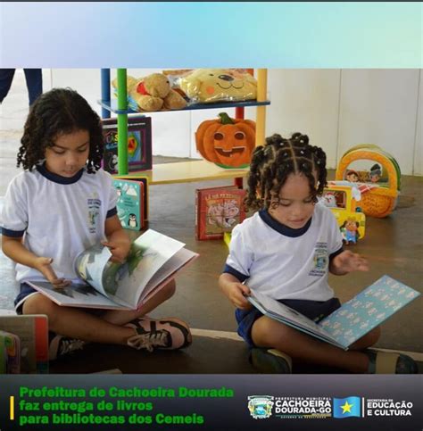 Prefeitura De Cachoeira Dourada Faz Entrega De Livros Para Bibliotecas