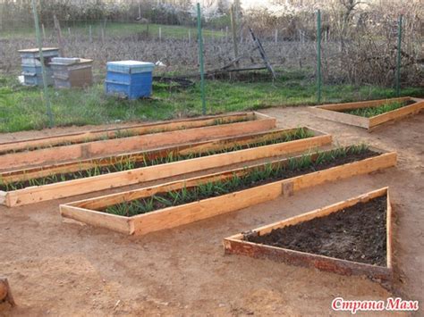 И опять узкие грядки . Обсуждение на LiveInternet - Российский Сервис ...