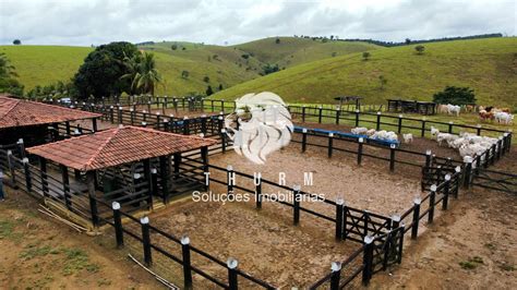 Fazenda à Venda em Porto Seguro Itabela