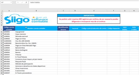 Subir Desde Excel Saldos Iniciales De Otras Cuentas Portal De