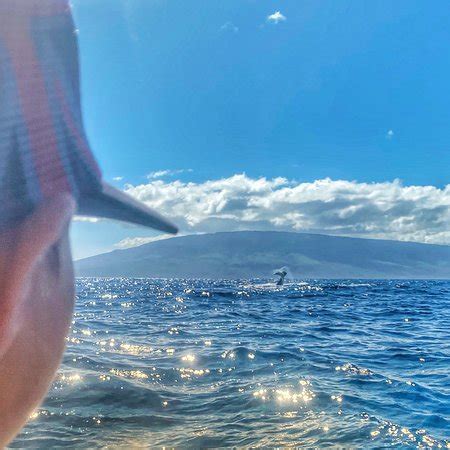 Blue Water Maui (Lahaina) - 2021 All You Need to Know BEFORE You Go ...
