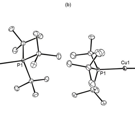 Scheme 6 Synthesis Of Compound 25 And The Proposed Route To Compound 27 Download Scientific