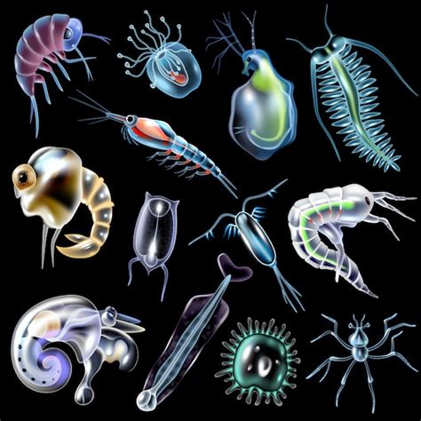 Plankton Vectors & Illustrations for Free Download | Freepik