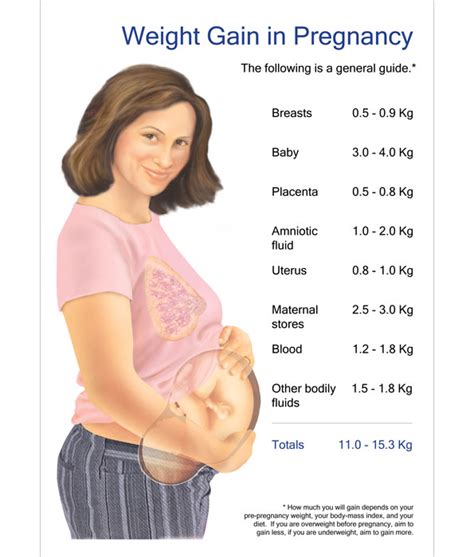 Pregnancy Weight Charts Weight Gain For Pregnancy Chart