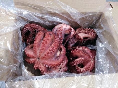 Congelados Rosario Pulpo Cocido T 6 Distribuidor Pescado Congelado