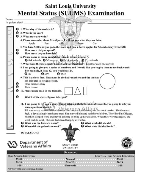 Slums Mental Status Exam Printable