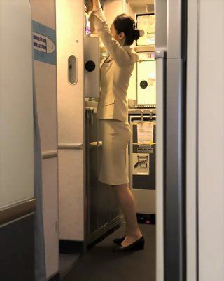 Korean Air Hostesses Porn Pictures Xxx Photos Sex Images Pictoa