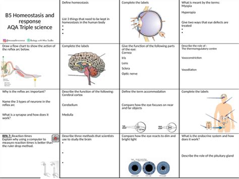 Aqa Triple Biology B5 Homeostasis And Response Revision Grid Teaching Resources