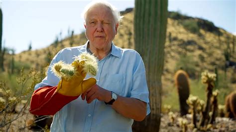 The Most Dangerous Plant In The Desert