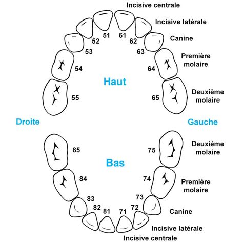 Cmdp Centre M Dico Dentaire Peseux Dentiste Neuch Tel