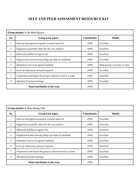 Pma Dh46isb 1 Group 7 Spark Self And Peer Assessment Resource Kit