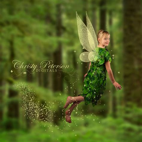 Digital Fairy Wings Backgrounds Overlays by FairyPhotography