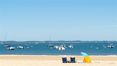 Les Mystères Inexpliqués de lostréiculture du Bassin d Arcachon