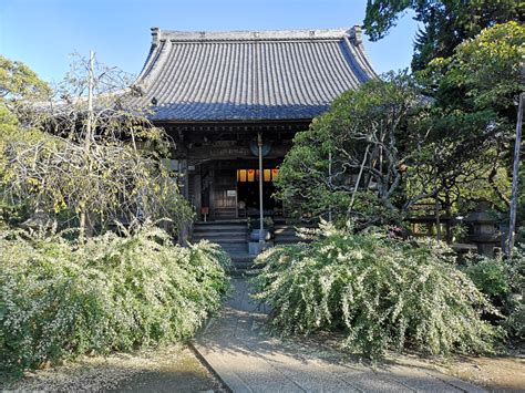 宝戒寺（はぎ寺）【日本遺産】 鎌倉市観光協会 時を楽しむ、旅がある。～鎌倉観光公式ガイド～