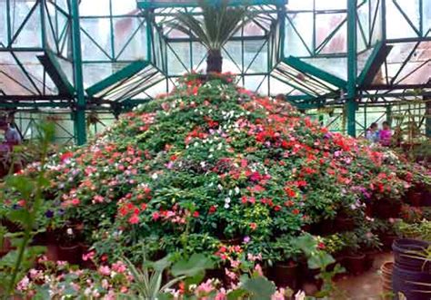 Hyderabad Botanical Gardens, timings, entry ticket cost, price, fee ...