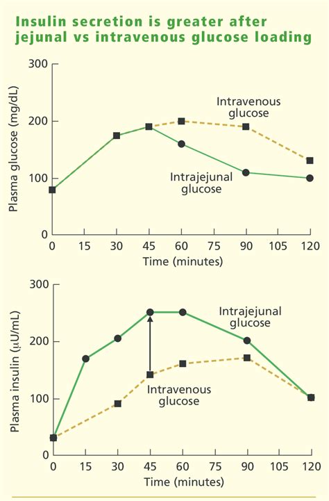 The incretin effect: a larger insulin response (shown with arrow) was ...