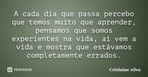 A Cada Dia Que Passa Percebo Que Temos Crislaine Silva Pensador