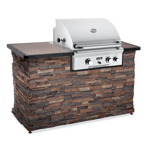 American Outdoor Grill 24 in. Built-In Gas Grill - Outdoor Kitchens at Hayneedle