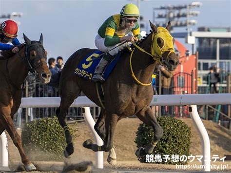 東京大賞典2023特集 レース結果・払戻｜地方競馬予想のウマニティ