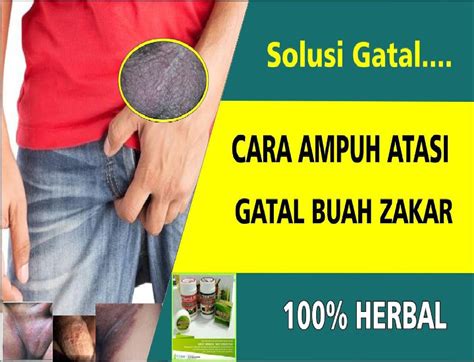 Gatal Pada Kulit Buah Zakar Yang Mengelupas Tak Kunjung Sembuh De