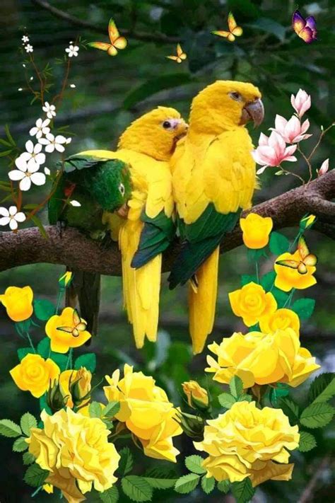 Two Yellow Birds Sitting On Top Of A Tree Branch With Flowers And