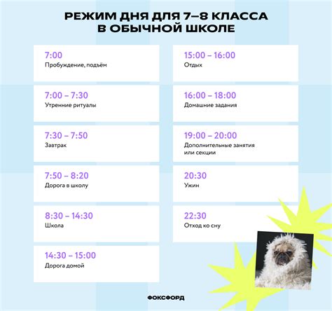 Расписания дня для школьника: как составить режим дня для ученика ...