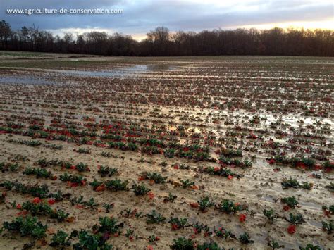 Dégradation des sols A2C le site de l agriculture de conservation